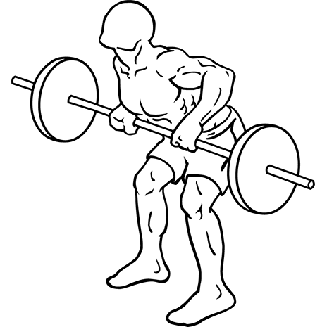 Bent over barbell row