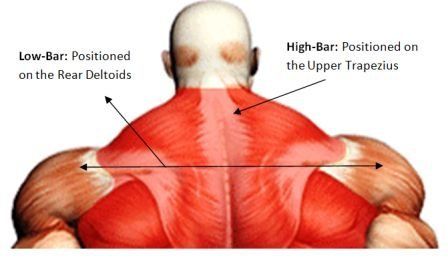 High Bar vs. Low Bar Squat