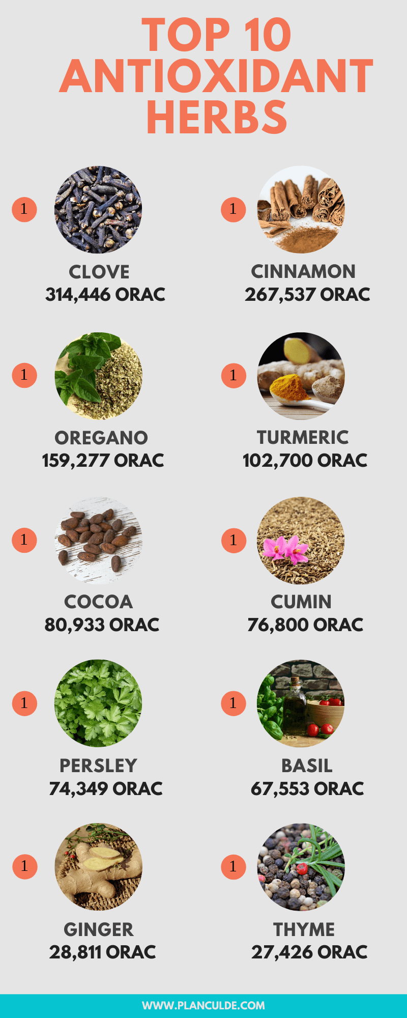Antioxidant Foods: List of the Top 10 Antioxidant Foods and Herbs