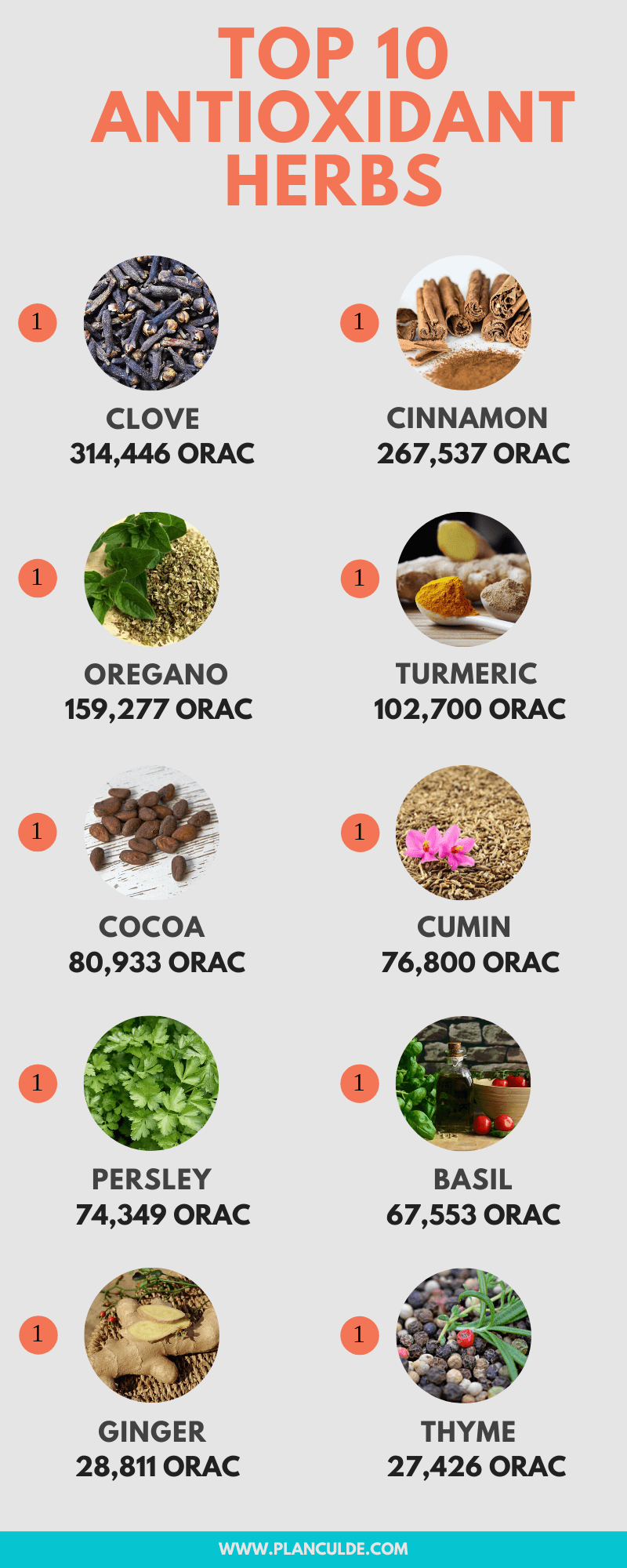 Top 10 Antioxidants Foods