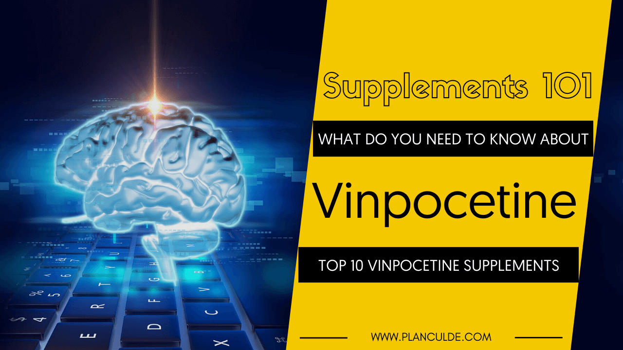 Best Vinpocetine Supplements: Top 10 Vinpocetine Brands Reviewed