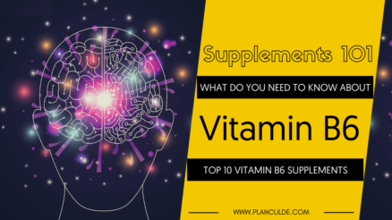 TOP 10 VITAMIN B6 SUPPLEMENTS