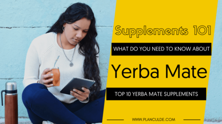 TOP 10 YERBA MATE SUPPLEMENTS