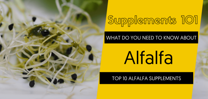 TOP 10 ALFALFA SUPPLEMENTS