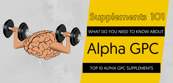 TOP 10 ALPHA GPC SUPPLEMENTS