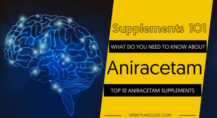 TOP 10 ANIRACETAM SUPPLEMENTS