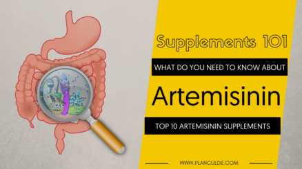 TOP 10 ARTEMISININ SUPPLEMENTS