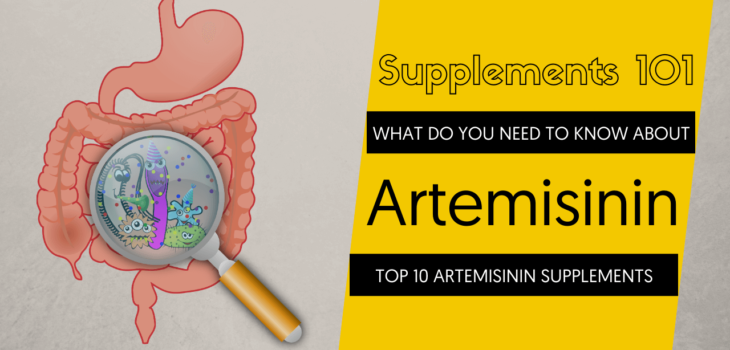 TOP 10 ARTEMISININ SUPPLEMENTS