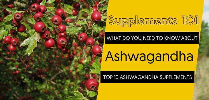 TOP 10 ASHWAGANDHA SUPPLEMENTS
