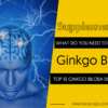 TOP 10 GINKGO BILOBA SUPPLEMENTS