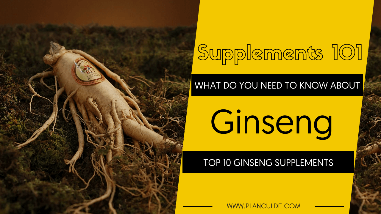 Best Ginseng Supplements Top 10 Ginseng Brands Reviewed