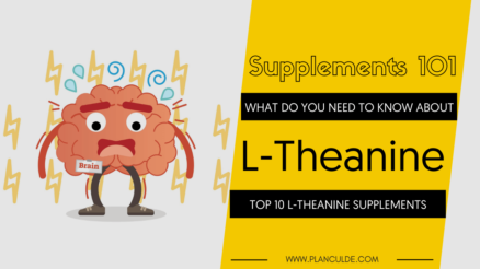 TOP 10 L-THEANINE SUPPLEMENTS