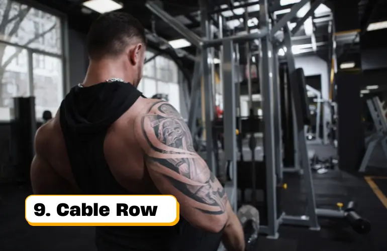 Best Pull-Up Alternatives - Seated Cable Row